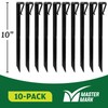 Master Mark Terrace Board Landscape Stakes (10-Pack, Black)