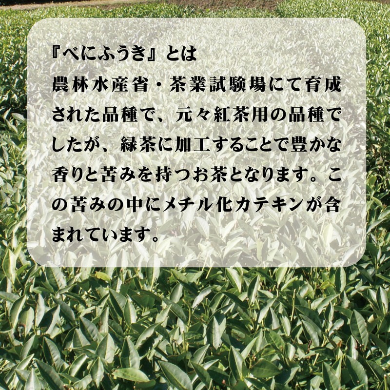 Kagoshima Prefecture Benifu Tea Powder, 0.4 oz (12 g) (30
