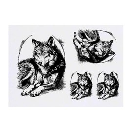 Azeeda 4 x 'Vintage Wolfsporträt' Temporäre Tattoos - Wasserfest, Hautfreundlich & Ungiftig · Transfers in Verschiedenen Größen (TO00084500)