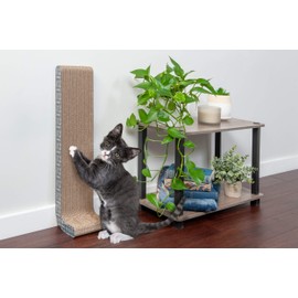 Furhaven Cat Scratchers with Catnip - Tiger Tough Multi-Level Cat House Scratcher Playgrounds, Classic Reversible Scratching Board, Interactive Busy Box Toy Scratcher, and More