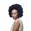 Cherish Bulk - Afro Kinky 24" (1B)