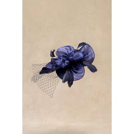 BABEYOND Women's Fascinator Hats Tea Party Derby Fascinator Hat with Veil Kentucky Headpiece for Cocktail Wedding