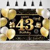 IMISI 43rd Birthday Banner & Decorations for Party