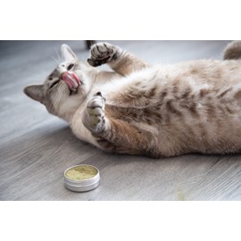 Meowy Janes All Natural Magic Cat Play Powder - Catnip and Silvervine Powder Blend - Cat Toy Dry Rub
