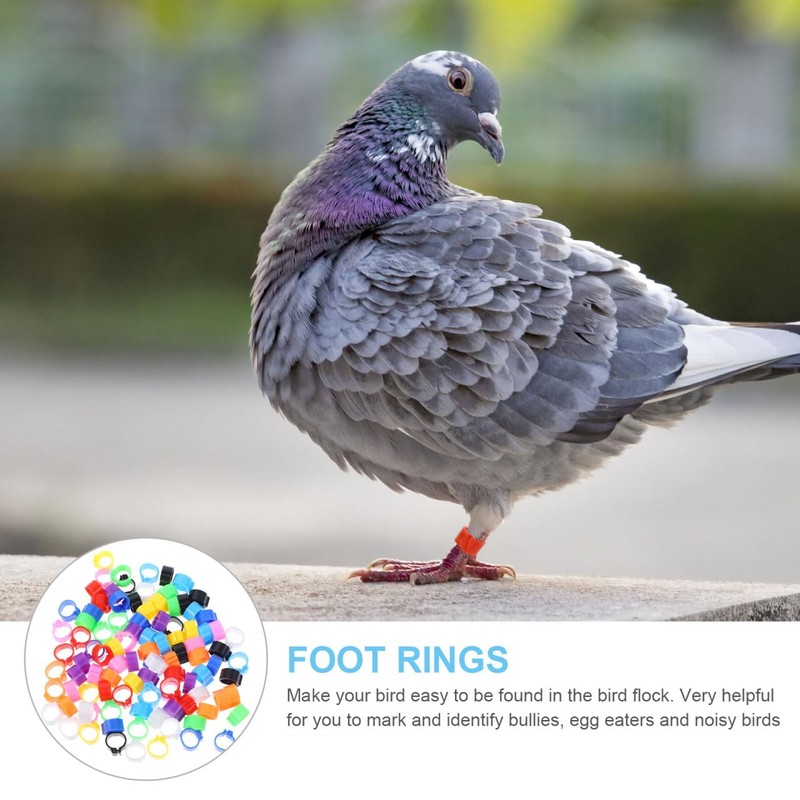 Mipcase Pigeon Leg Bands Ring,100 Pcs Bird Pigeons Leg Rings