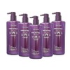 Dr. Groot Provital Shampoo 500ml 5pcs / 닥터그루트 프로바이탈 샴푸 500ml 5개