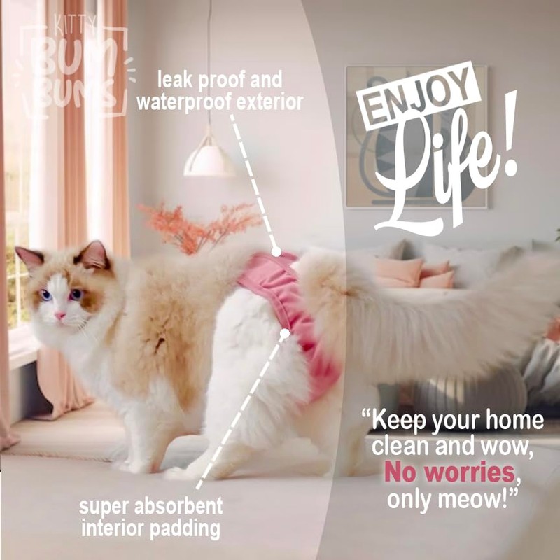 Kitty Bum Bums Reusable Cat Diapers and Stud Pants to