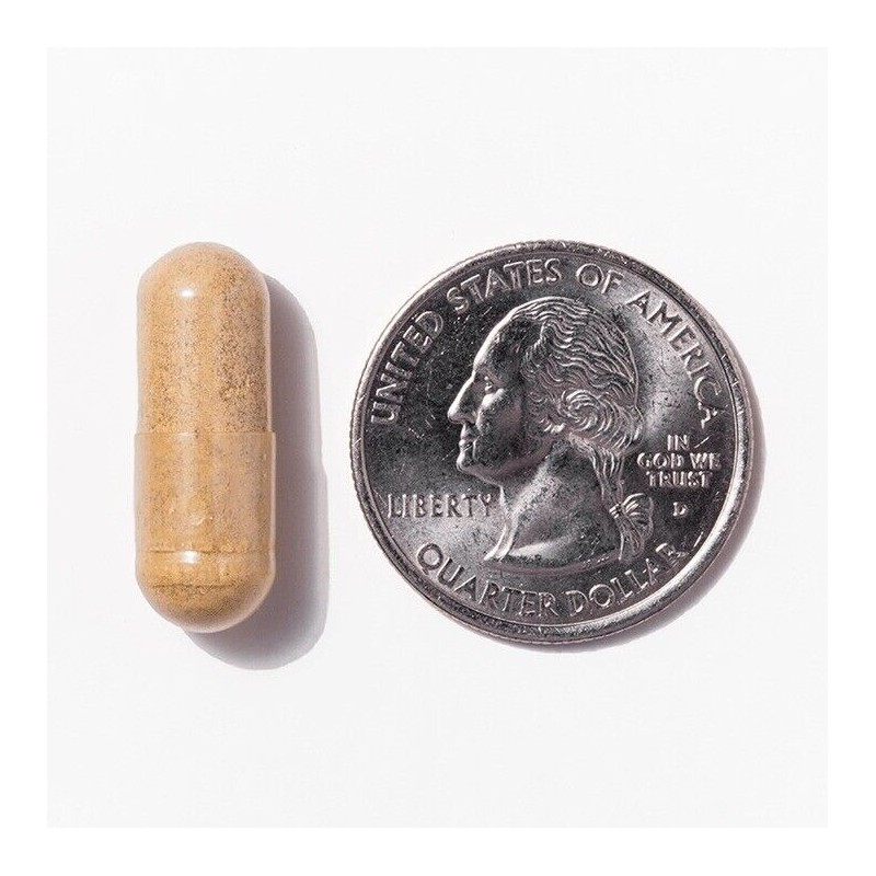 Procare Bariatric Multivitamin | Capsule | 45mg | 30 Count