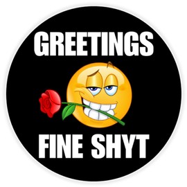 Greetings Fine Shyt - 100 Pack Circle Stickers 3 Inch - Funny Meme Gen Z Alpha Brain Rot Slogan