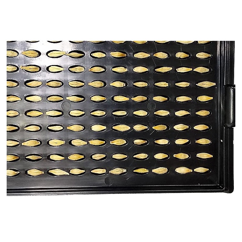 Fujiwara Seisakusho Grain Counting Board 100 Grain (Barley, Rice, Long