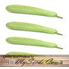Big Pack - (50) Calabash Long Squash/Melon Seeds, Opo Bottle