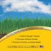 Gro Green Sun & Shade Grass Seed Mixture - 2lbx5