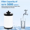 Alexapure Water Filter Replacement, 2387 Pro Filter Replacement 5000 Gallon