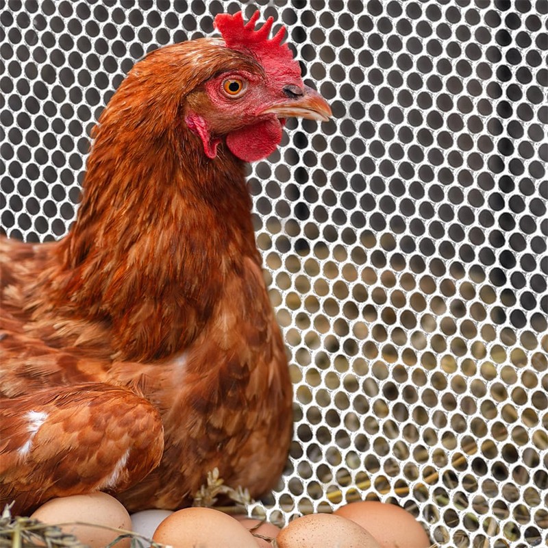 White Plastic Chicken Wire Mesh Fence Hexagonal Poultry Netting Plastic