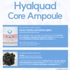 Partner company Santé Ampoule Hyal Quad Core Moisture Ampoule 100ml