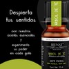 Bienat Aromaterapia Aceite Esencial de Árbol de Té 10mL
