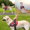 Service Dog Vest, DEWVIE Dog Harness and Leash Set with