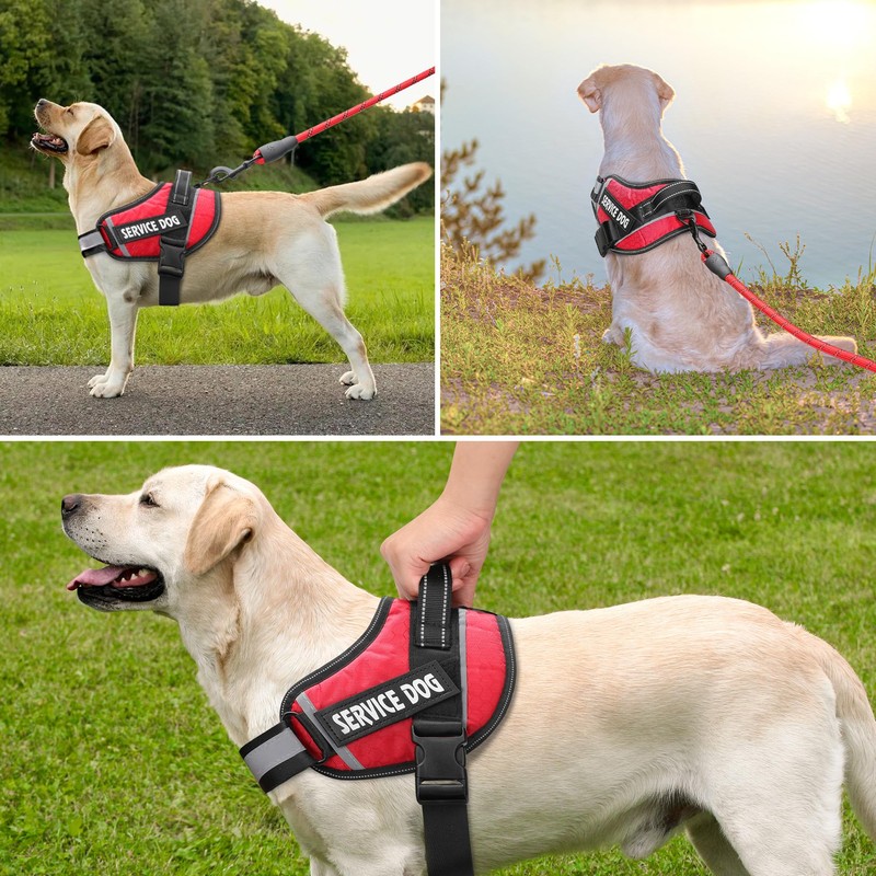Service Dog Vest, DEWVIE Dog Harness and Leash Set with