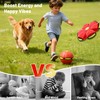 Magic Metaball, Magic Bouncing Ball, Magic Flying Saucer Interactive Pop