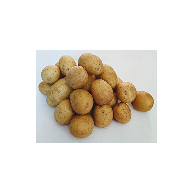 Pesticide-Free SC Farm Fresh Yukon Gold Potatoes (10lbs)