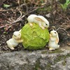 Top Collection Enchanted Story Fairy Garden Rabbits Rolling Cabbage Outdoor