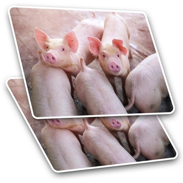 Rectangle Stickers (Set of 2) 10cm - Cute Pink Pig