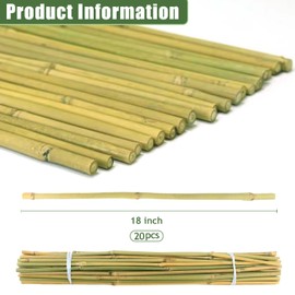 20 Pack 16/18 Inch Natural Bamboo Stakes for Plants, Thick-Wall Garden Stakes with 20 Free Green Ties - Sturdy & Treated Plant Support Sticks for Indoor/Outdoor Potted Tomatoes, Vegetables (18 Inch)