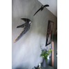 Wildlife Garden Ornamental Bird Wooden Bird Wall Sailor – Hand