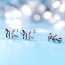 Limerencia F136 Pure Titanium Hypoallergenic Implant Grade Studs, G23 Small Dainty Cubic Zirconia Earrings for Women's Sensitive Ears