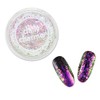DAILY CHARME Iridescent Nail Art Mermaid Flakes Decoration (Mermaid Andrina),