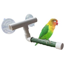 Bird Parrot Stand Perch Shower Perch Standing Toy Portable Suction Cup Parrot Bath Stands Suppllies Holder Platform Parakeet Window Wall Hanging Play (2 Suction Cups Green)