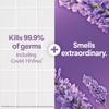 Clorox Scentiva Disinfecting Spray, Lavender & Jasmine, 32 Fl Oz,