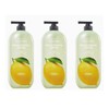 On The Body [온더바디] 온더바디 더내추럴 바디워시 레몬향 900g x 3개 On The Body Natural Body Wash Lemon Scent 900g x 3