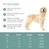 Baboni Pet Door for Wall, Steel Frame and Telescoping Tunnel,