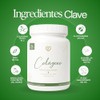 Caro Fit Colágeno Hidrolizado Tipo Articulaciones Cartílago Polvo Glucosamina Msm