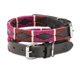 Jack & Russell Polo Leather Dog Collar, Premium Handmade Leather Collar for Small and Large Dogs, Pablo Collar (S (27.5-34.0 cm)