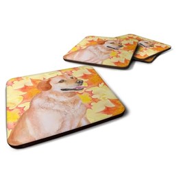 Caroline's Treasures Labrador Retriever Fall Decorative coasters, Multicolor