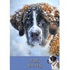 St Bernard Dog Birthday Card