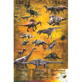 EDUCATIONAL POSTER ~ Dinosaur Developed Stages of Evolution Teaching Assistant ~