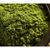 [Premium Uji Matcha] Matcha Powder, Unryu, 1.4 oz (40 g)