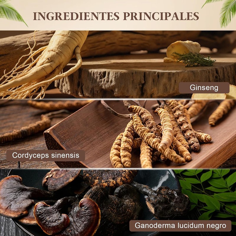 Peine de Tinte RUIAO 2 en 1 – Cubre Canas