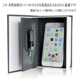 Lysmics Book Safe Box Lock Hidden Safe (Black, S)