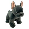 Toys Wonderland Freddie the Frenchie 8" Stuffed Dog Toy with