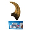 Deinonychus Raptor Dinosaur Claw Replica Museum Quality Cast Fossil Specimen