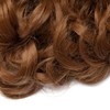 Hairro Messy Hair Bun with Comb (#30 Light auburn) Curly