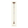 Livex Lighting 8450-57 Savannah 1 Light Venetian Patina Adjustable Mini