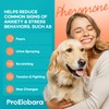 ProElobara Dog Calming Pheromone Diffuser: Dog Calming Pheromones Plug Diffuser