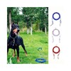 LuminaD Large Dog Wire Leash 6mm 10m for Walking, Option 1 6mmx10m/Option 2 Silver