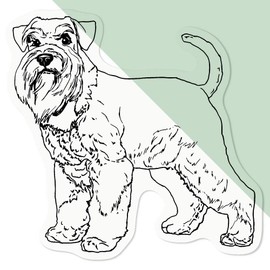 'Schnauzer' Clear Sticker Decal – Waterproof Film for Windows, Cars, Walls & Crafts, Medium (100mm) (DC00082154)