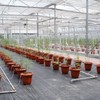 sourcing map 5Pcs Clear Elbow Fitting, 16mm/0.63" 2 Way Acrylic